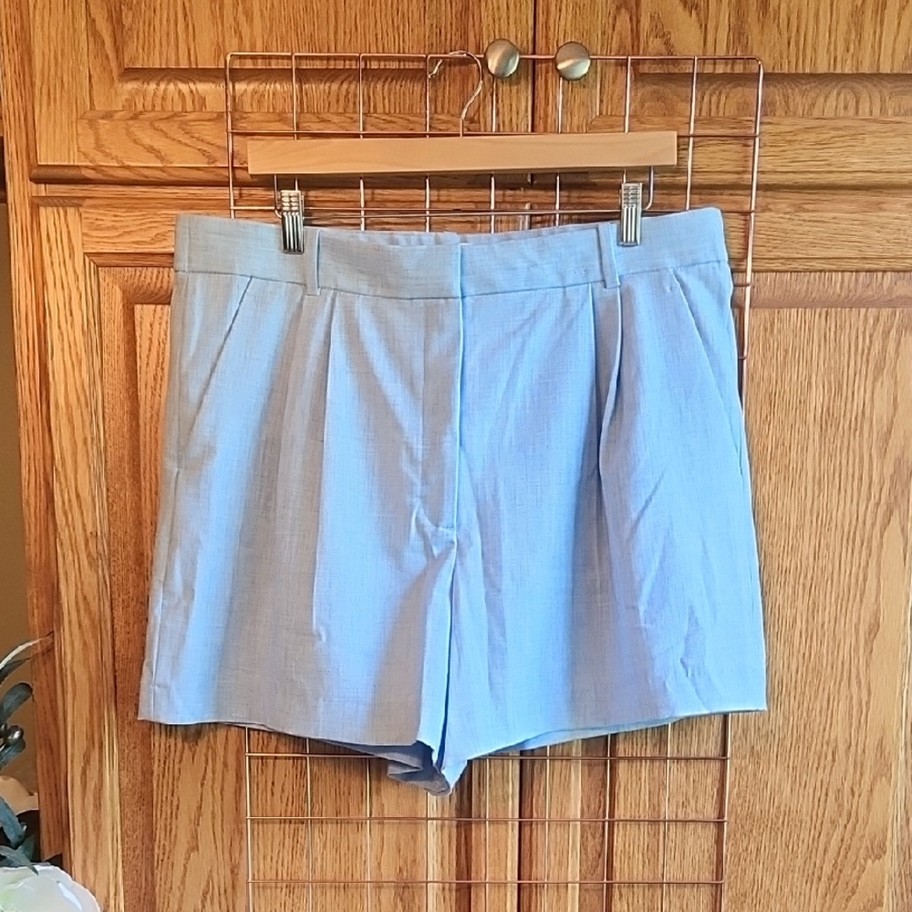 Abercrombie & Fitch Light Blue Women's Flat Front Shorts, Size 33